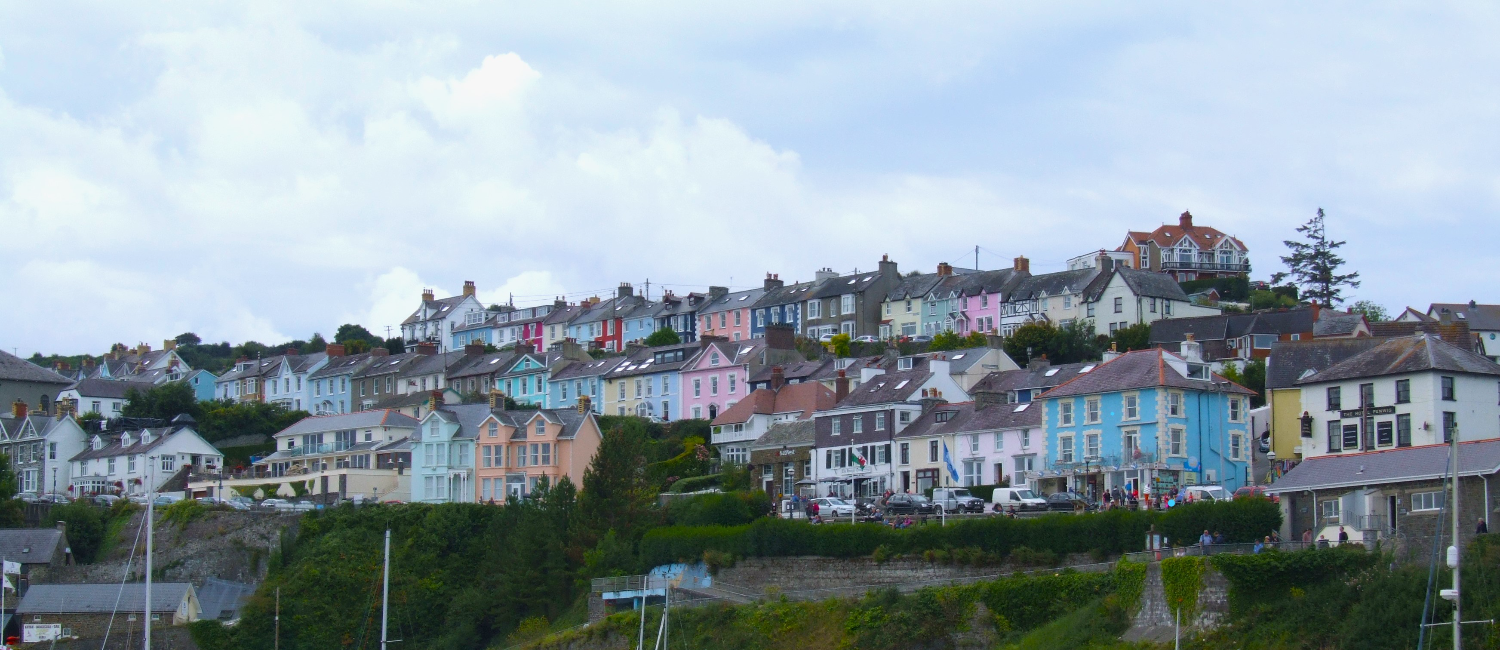 Cardigan surveyors